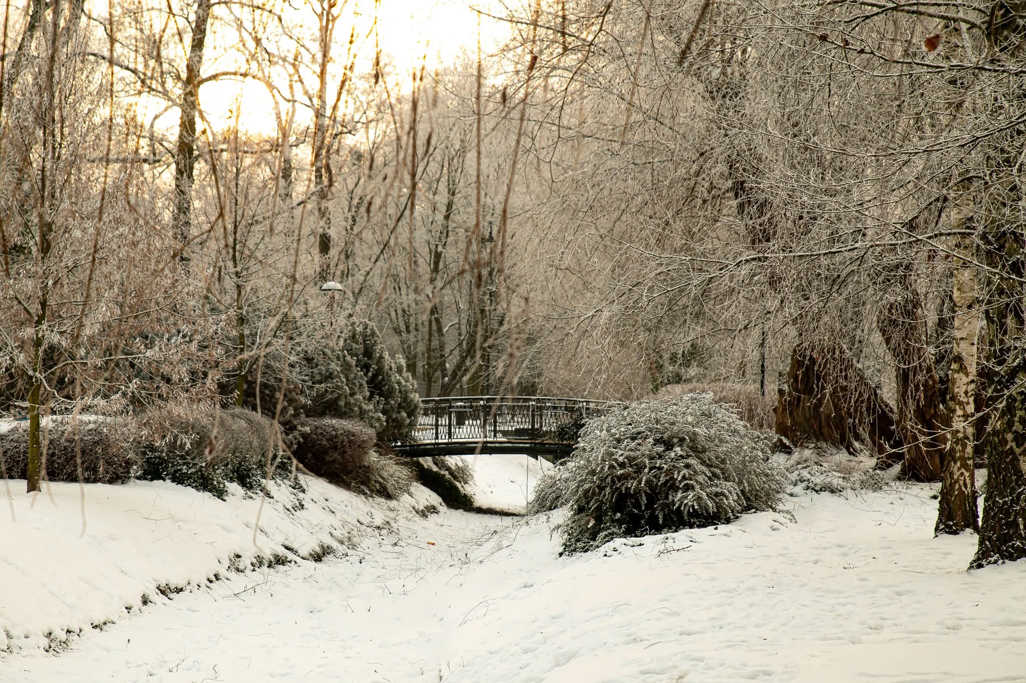 Bezpieczne ferie zimowe, zdjęcie zimowego krajobrazu w parku skarbków
