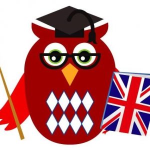 Logo szkoły języka angielskiego, sowa w okularach, z beretem studenckim i flagą Wielkiej Brytanii