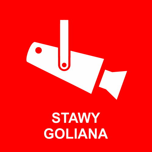 Streaming - Stawy Goliana