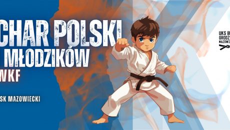 II Puchar Polski Dzieci w karate WKF