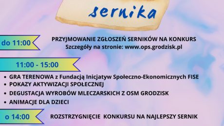 Festiwal sernika plakat