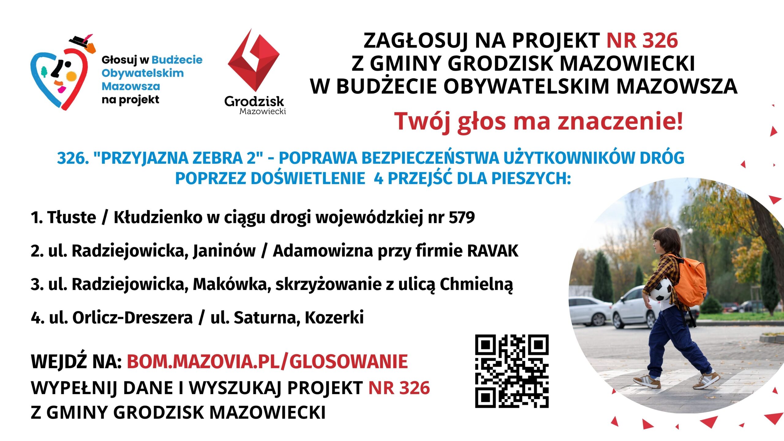 Projekt Przyjazna Zebra 2